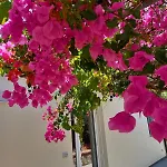 Casa Martino In Campagna Apartman