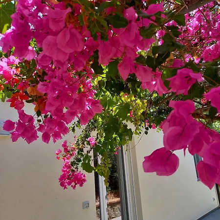 Casa Martino In Campagna Apartment